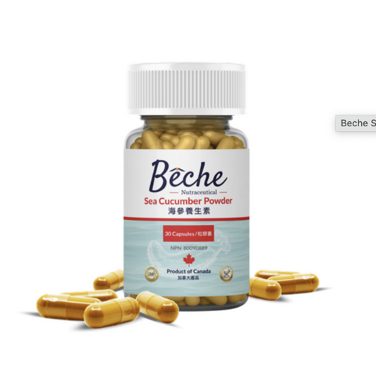 BECHE Nutraceutical Sea Cucumber Powder 30's